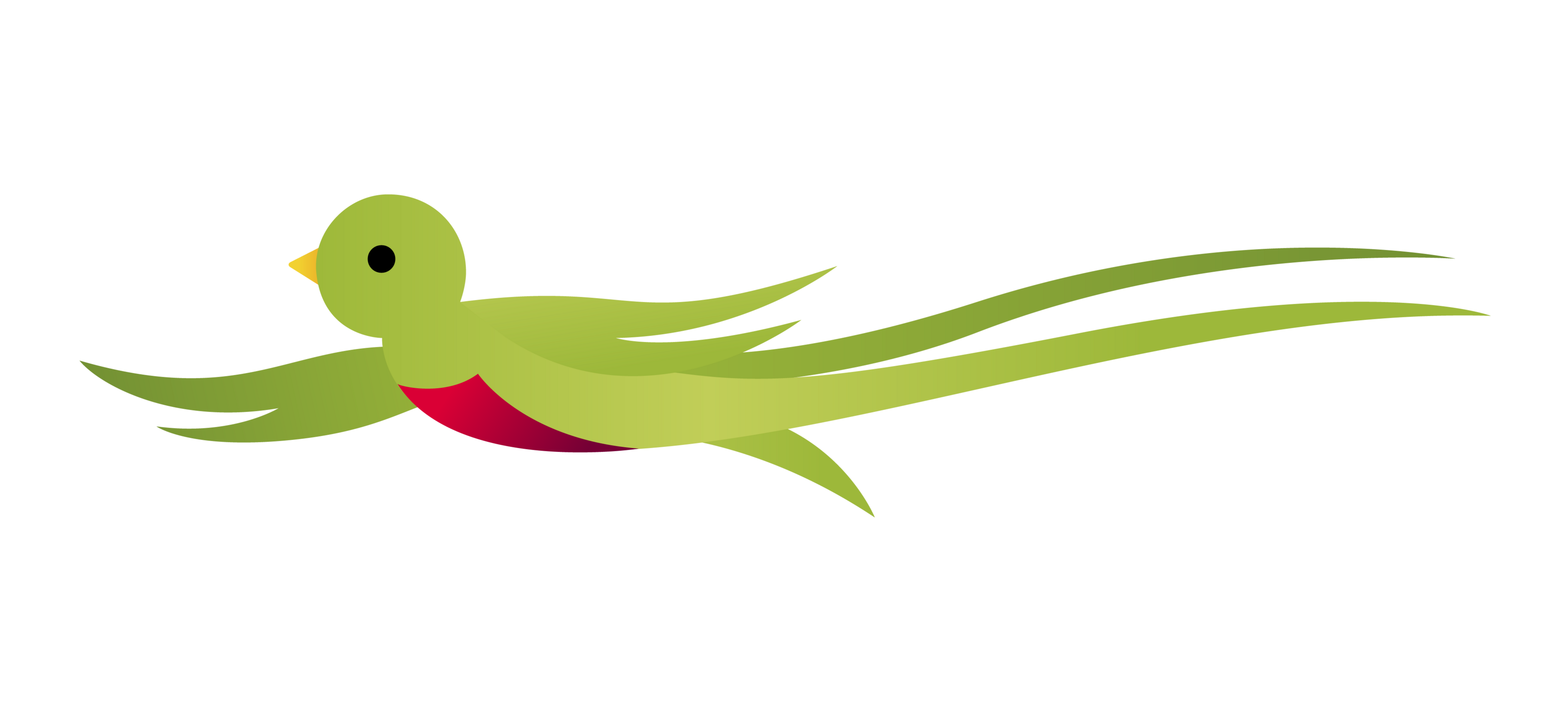 Guatemala Vector